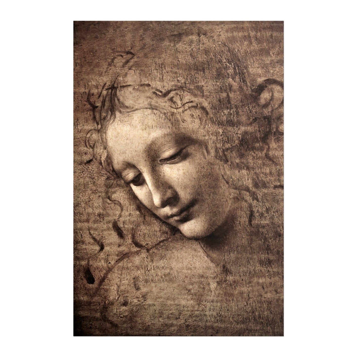 La Scapigliata - Vintage Renaissance Sketch Oil Painting & Female Head Study Portrait #LS042